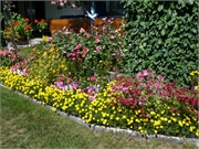 2011-08-20 Geb Andree 70.26